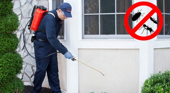 Hatundere Böcek İlaçlama böcek ilaçlama ve haşere kontrolü — ilaclama-tr.com